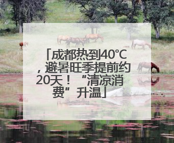 成都热到40℃，避暑旺季提前约20天！“清凉消费”升温